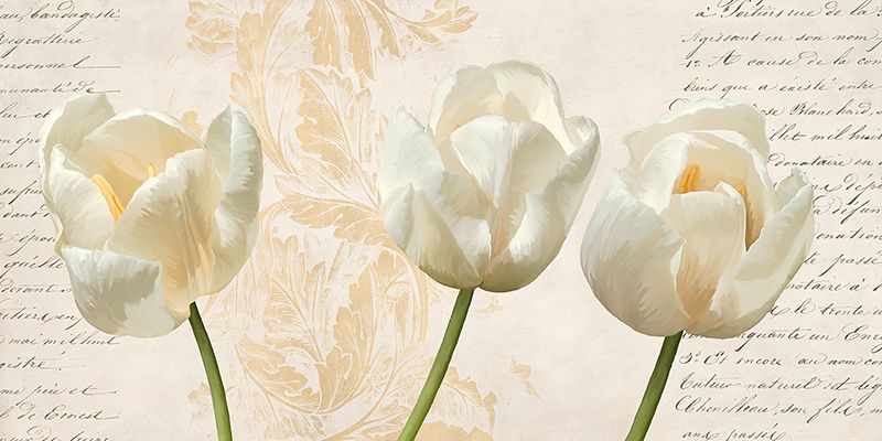 Elena Dolci, Three Tulips