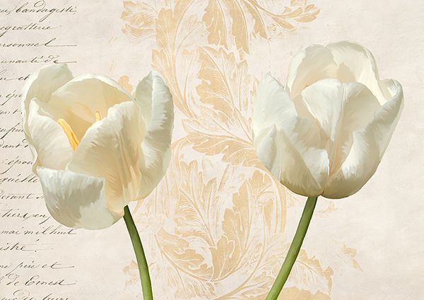 Elena Dolci, Two Tulips