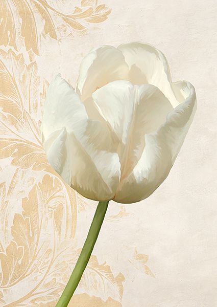 Elena Dolci, Tulip II