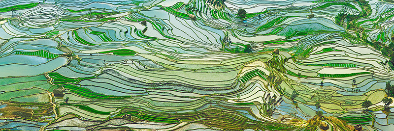 Frank Krahmer, Rice Terraces, Yunnan, China